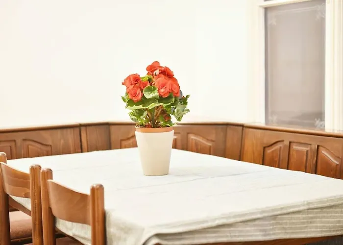 Charming Spacious וינה
